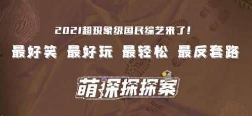 独家爆料视频模板大全,海量爆料视频模板大盘点，让你的视频更具吸引力！  第2张